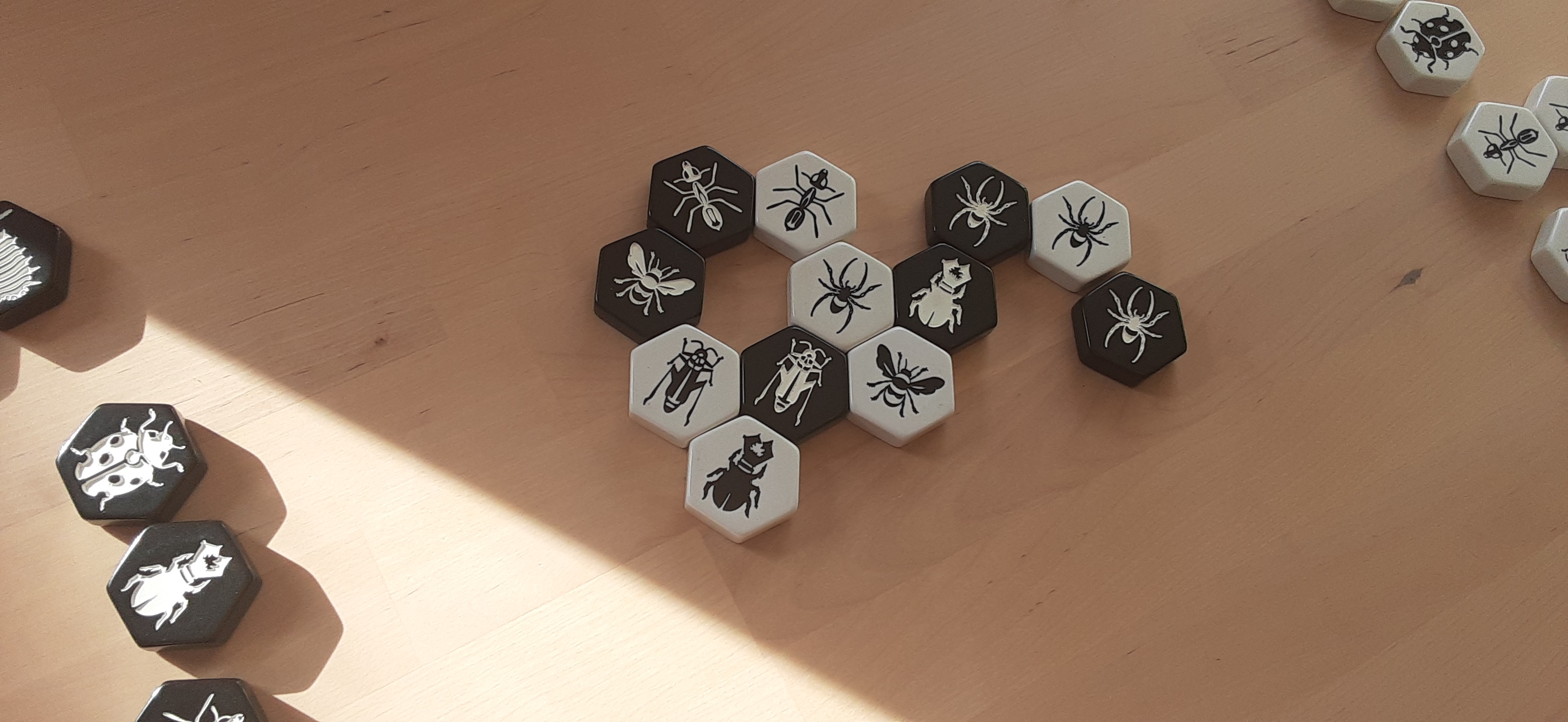 Hive
